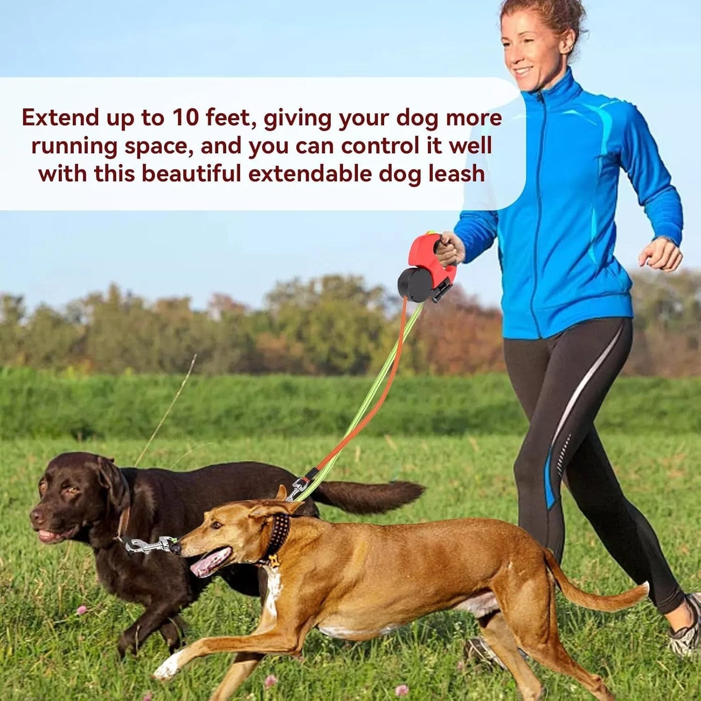 Retractable Dog Leash for Walking Two Dogs