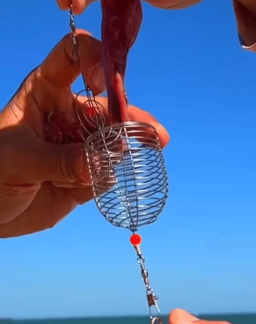 Tyiipro™ Stainless Steel Fishing Bait Cage Feeder – Durable Fish Attracting Rig Attachment