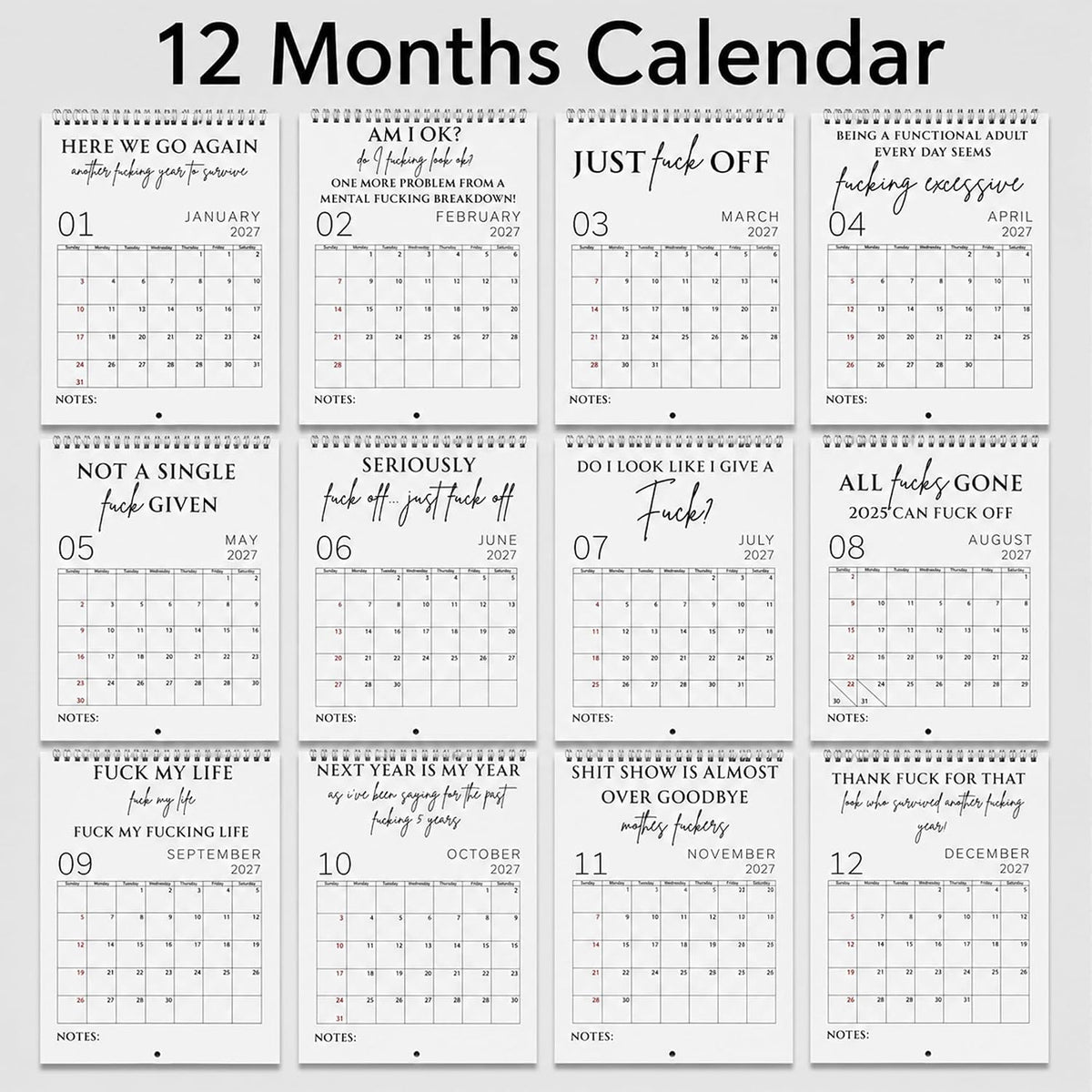 Fuck It Calendar 2027, Funny Sweary Wall Calendar