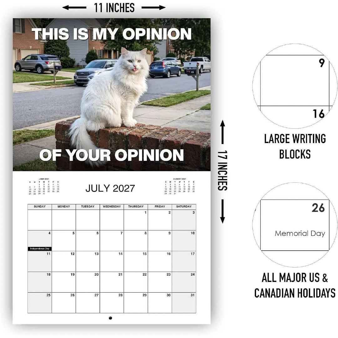 PISSED-OFF CATS 2027 Wall Calendar - Funny Gift for Cat Lovers