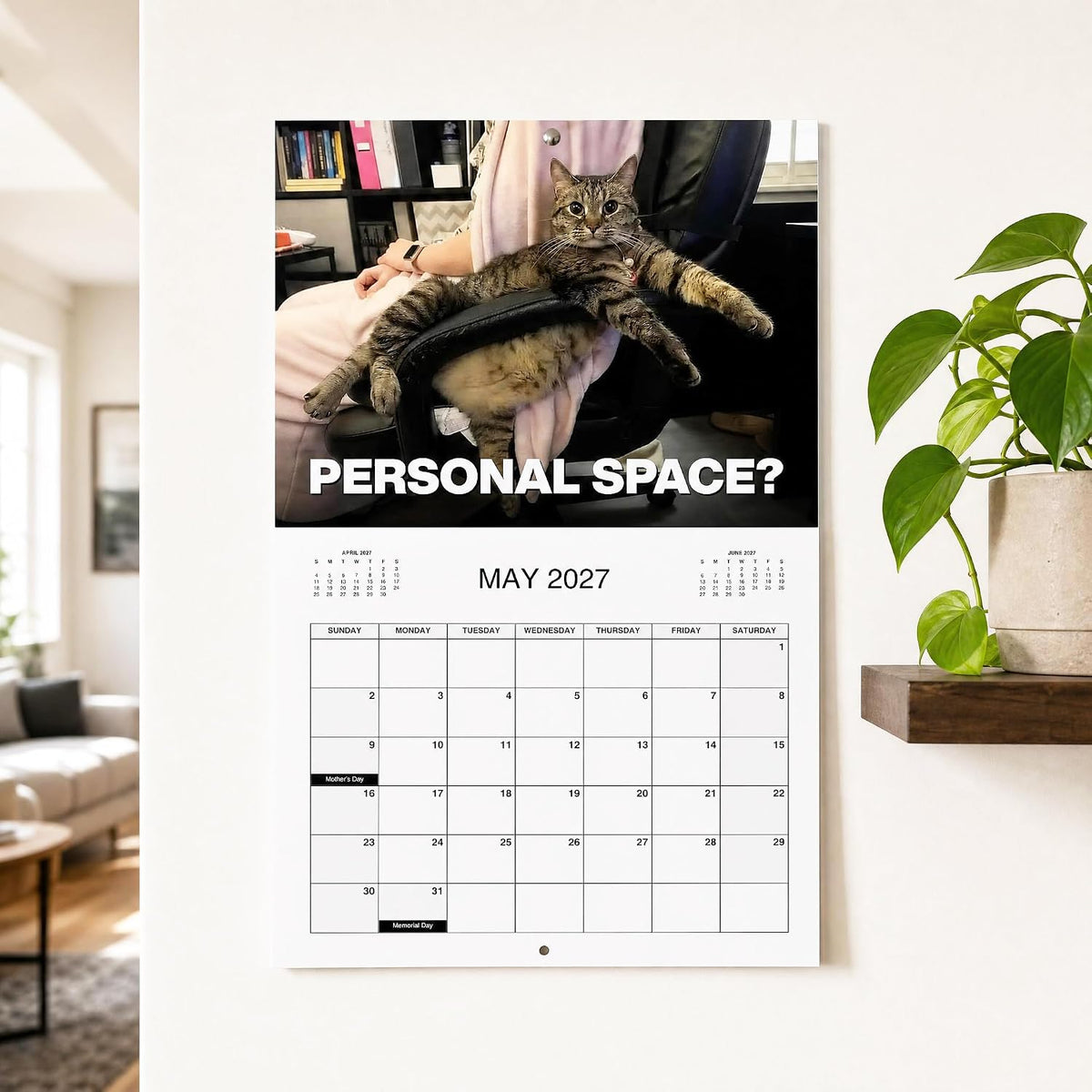 PISSED-OFF CATS 2027 Wall Calendar - Funny Gift for Cat Lovers