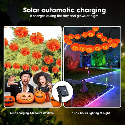 🎃🌼 Mexican Marigold Flower String Lights