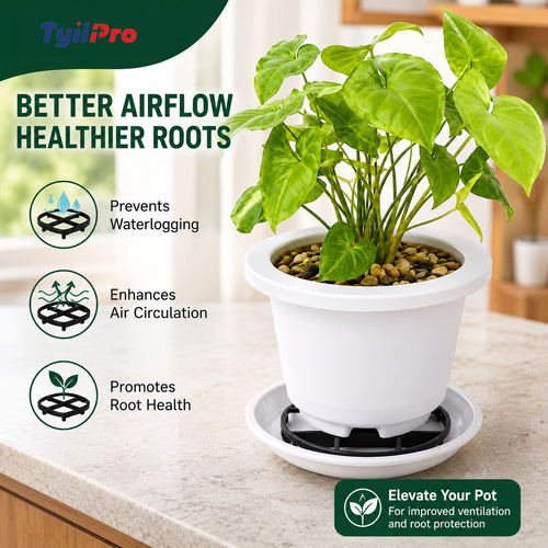Plant Pot Riser Stand for Better Drainage & Healthy Roots