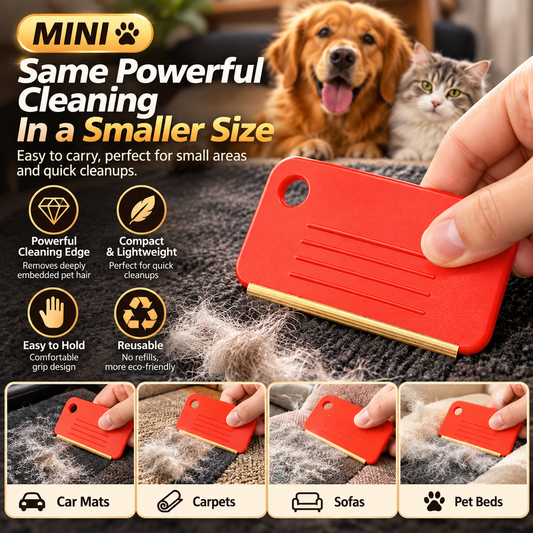 Pet Hair Remover Scraper Brush – Reusable Metal Tool for Car Mats, Carpets & Rugs