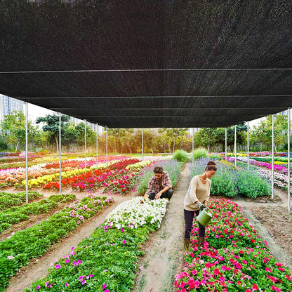 UV-Resistant Shade Net with Grommets